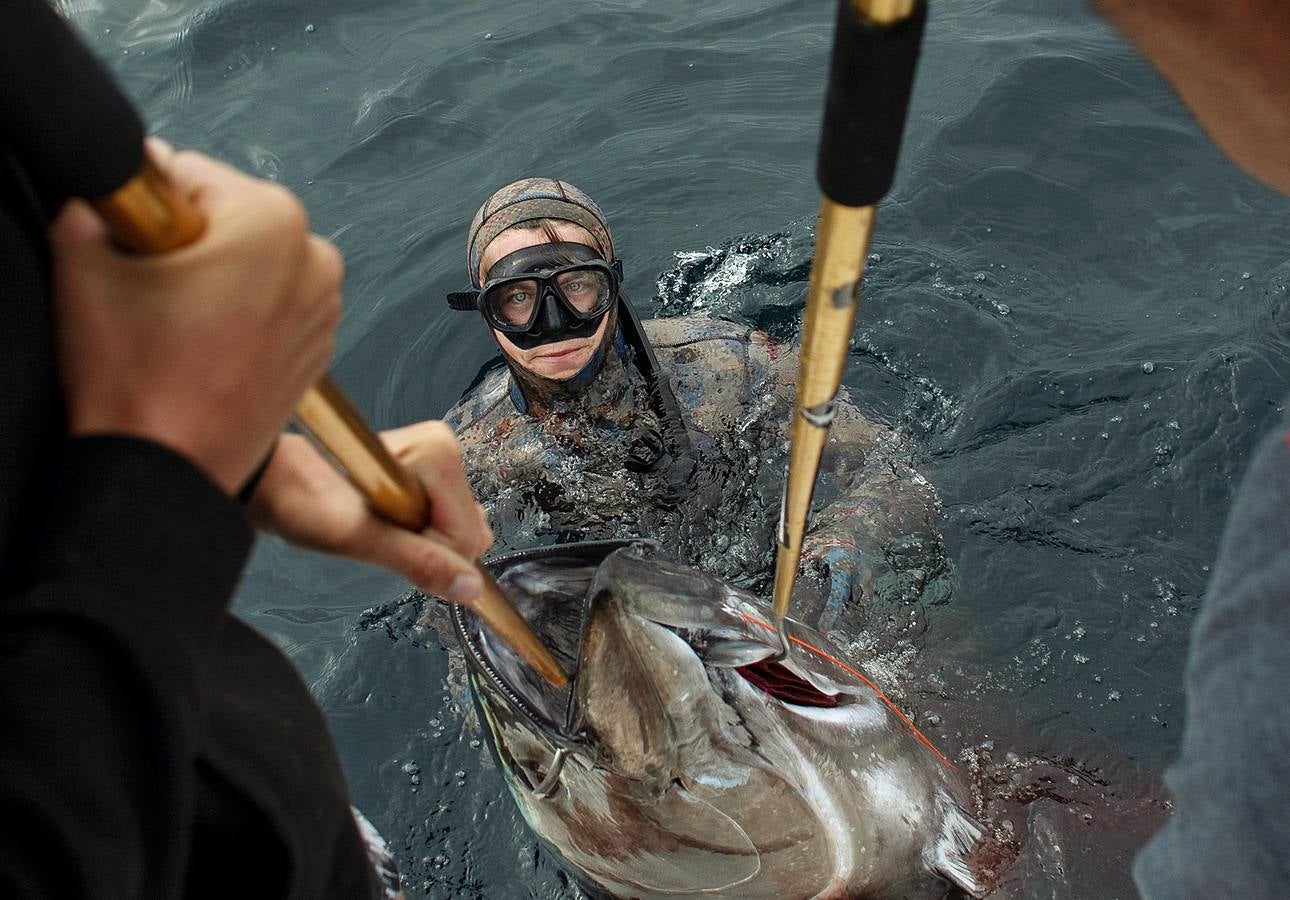 A principios de septiembre, Ryder Devoe, de 19 años, emergió de las azules aguas de San Diego con su neopreno de camuflaje, gritando: «lo atrapé». Un hermoso ejemplar de atún rojo de más de 90 kilos, una especie que apenas se veía en las costas californianas desde hacía décadas, había sido alcanzado por su arpón. Devoe, a quien además del buceo libre también apasiona el surf, se siente feliz. «Este año mi objetivo es cabalgar las olas más grandes de México y capturar otro atún de aleta amarilla.»