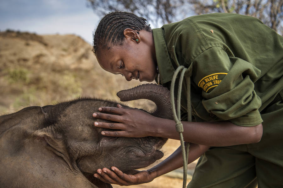 La exposición lleva a Montehermoso los mejores trabajos del fotoperiodismo internacional