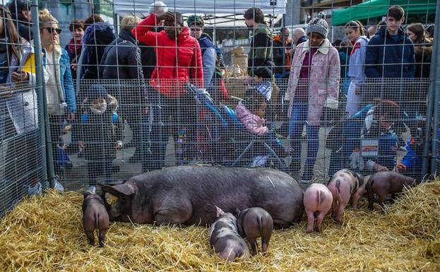 La feria de Santo Tomás mantiene abierta la inscripción. 