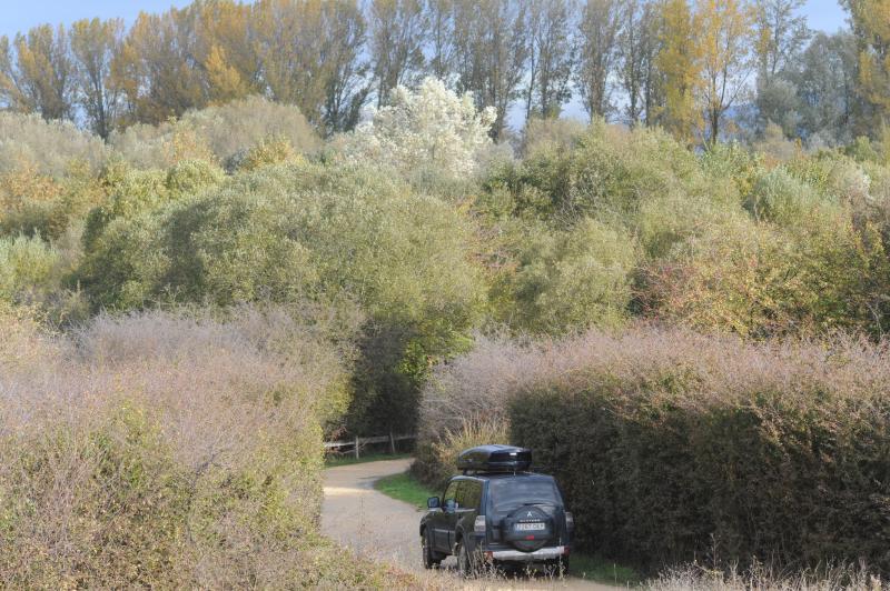 La Ertzaintza busca a un traficante de hachís de Madrid que sorteó un control y abandonó una bolsa con 15 kilos de droga en el parque tras sufrir un accidente