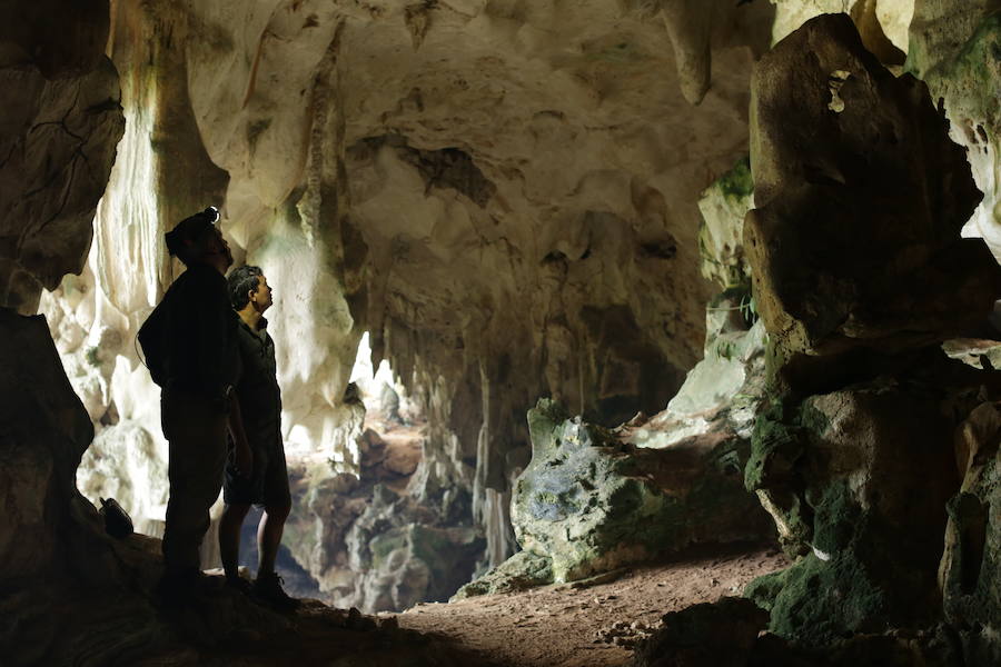 Descubren en cuevas del sudeste asiático las primeras muestras de arte figurativo más antiguas que las de la cornisa cantábrica y Francia
