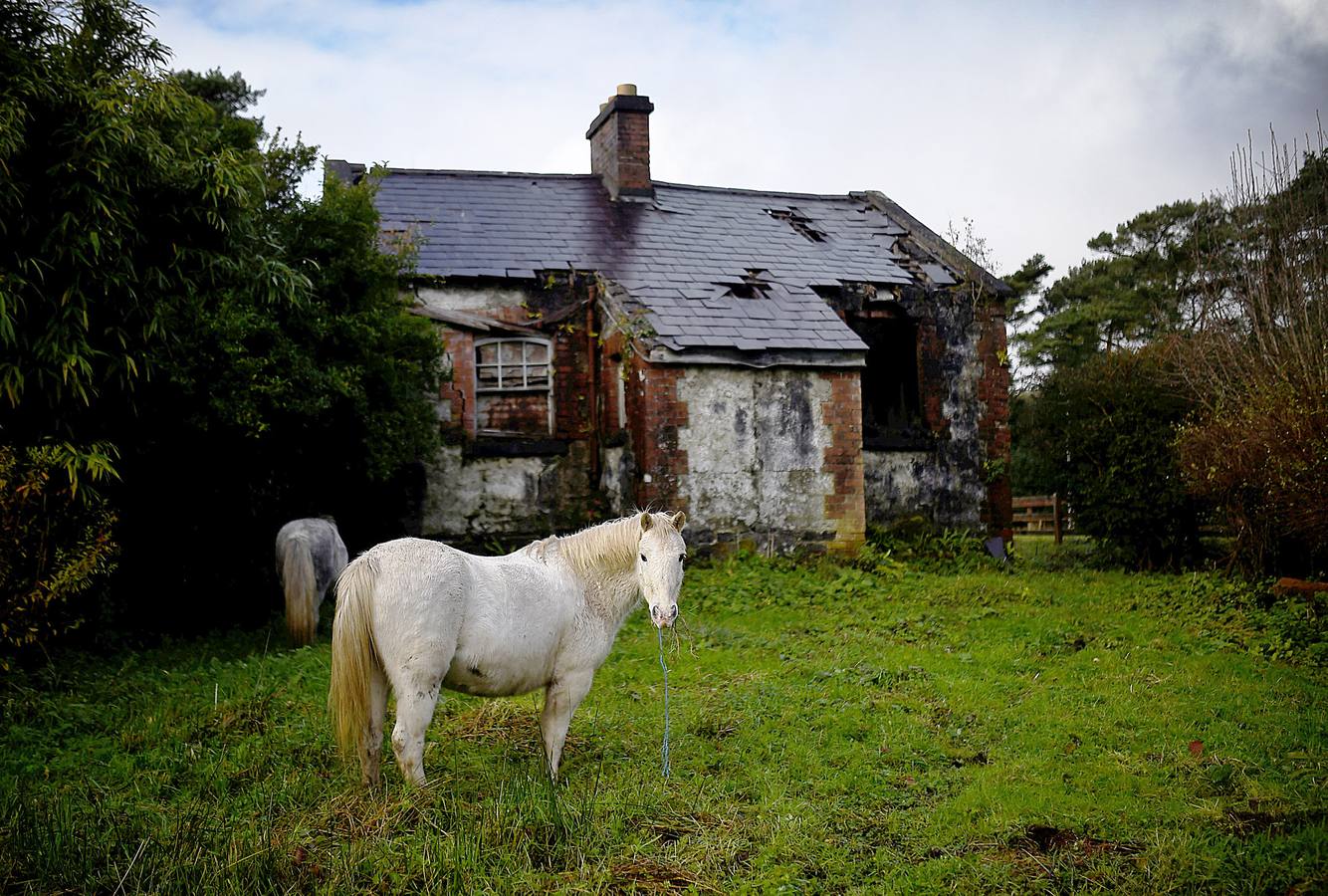 Maam Cross es una encrucijada en Connemara, condado de Galway, Irlanda. En ella se desarrolla una de las ferias agrícolas y de ganado más tradicionales en la que los granjeros locales venden los excedentes de producción para complementar sus exiguos ingresos. Este año premiará al mejor de los populares ponis de Connemara y quienes asistan podrán participar en el campeonato de lanzamiento de herradura. 