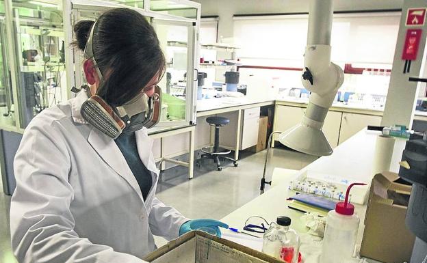 Una investigadora trabaja en un laboratorio de la Universidad del País Vasco.