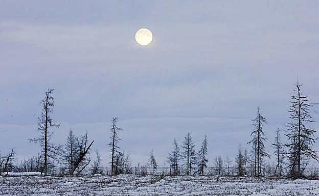 Siberiako adarbakarra eta gizaki modernoa batera bizi izan ziren