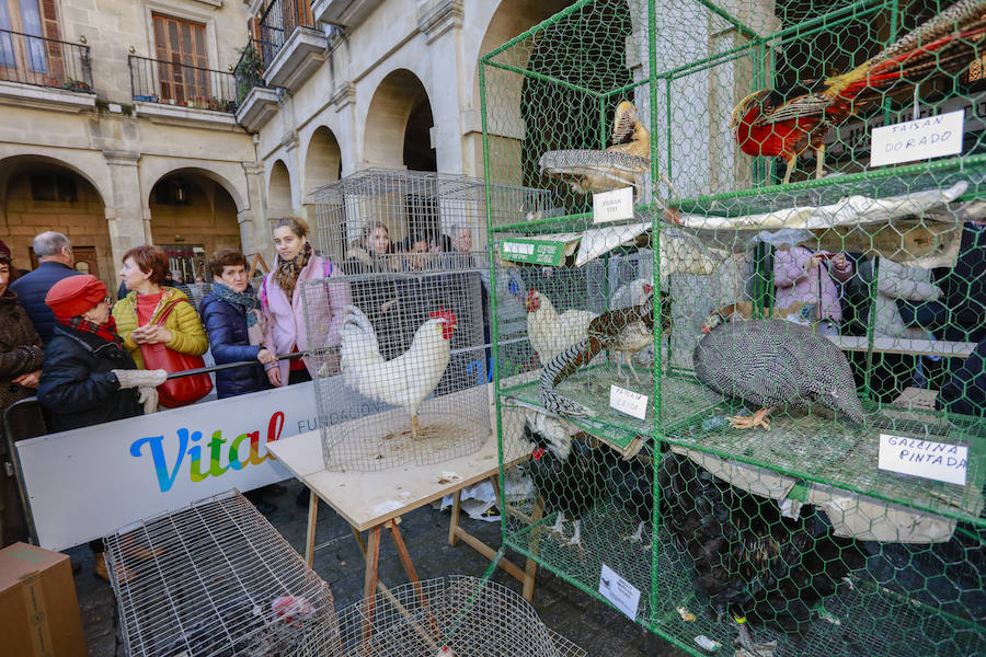 El buen tiempo ha animado a miles de ciudadanos a acercarse, un año más, a la plaza de España, donde más de un centenar de productores han ofrecido quesos, embutidos, pan, verduras, conservas y dulces para estas fiestas