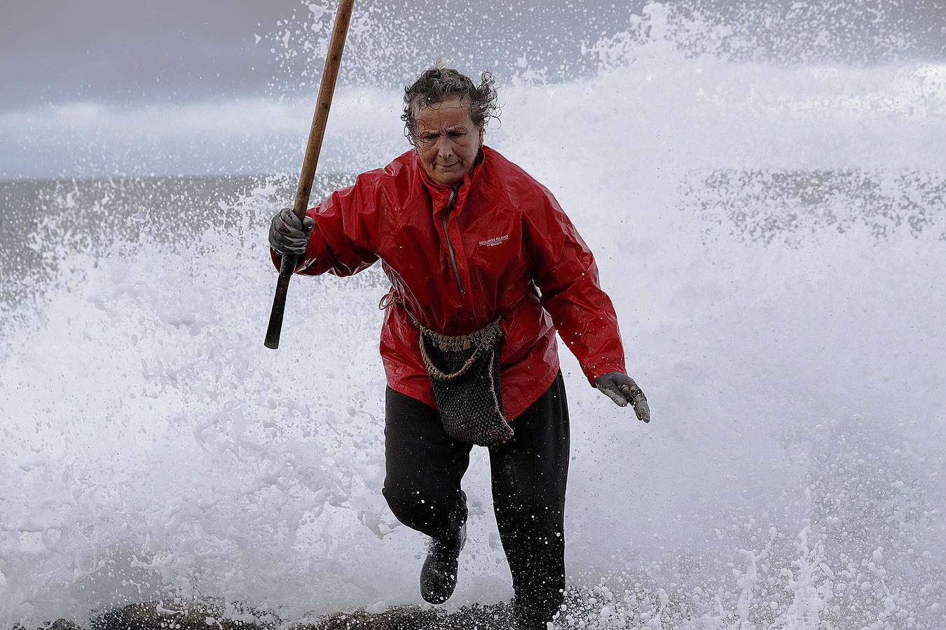 Tal vez sean las rocas o la bravura del mar. Los percebes de cabo Roncudo, en la llamada Costa de la Muerte, son los mejores del mundo. Y también los más caros. Los percebeiros arriesgan sus vidas encaramándose a las rocas cubiertas de lapas y minchas, entre el rugido de heladas olas batiendo los acantilados. Solo les está permitido faenar tres horas al día: dos horas antes de la bajamar y una después. En invierno se pueden capturar hasta cinco o seis kilos de percebes al día.