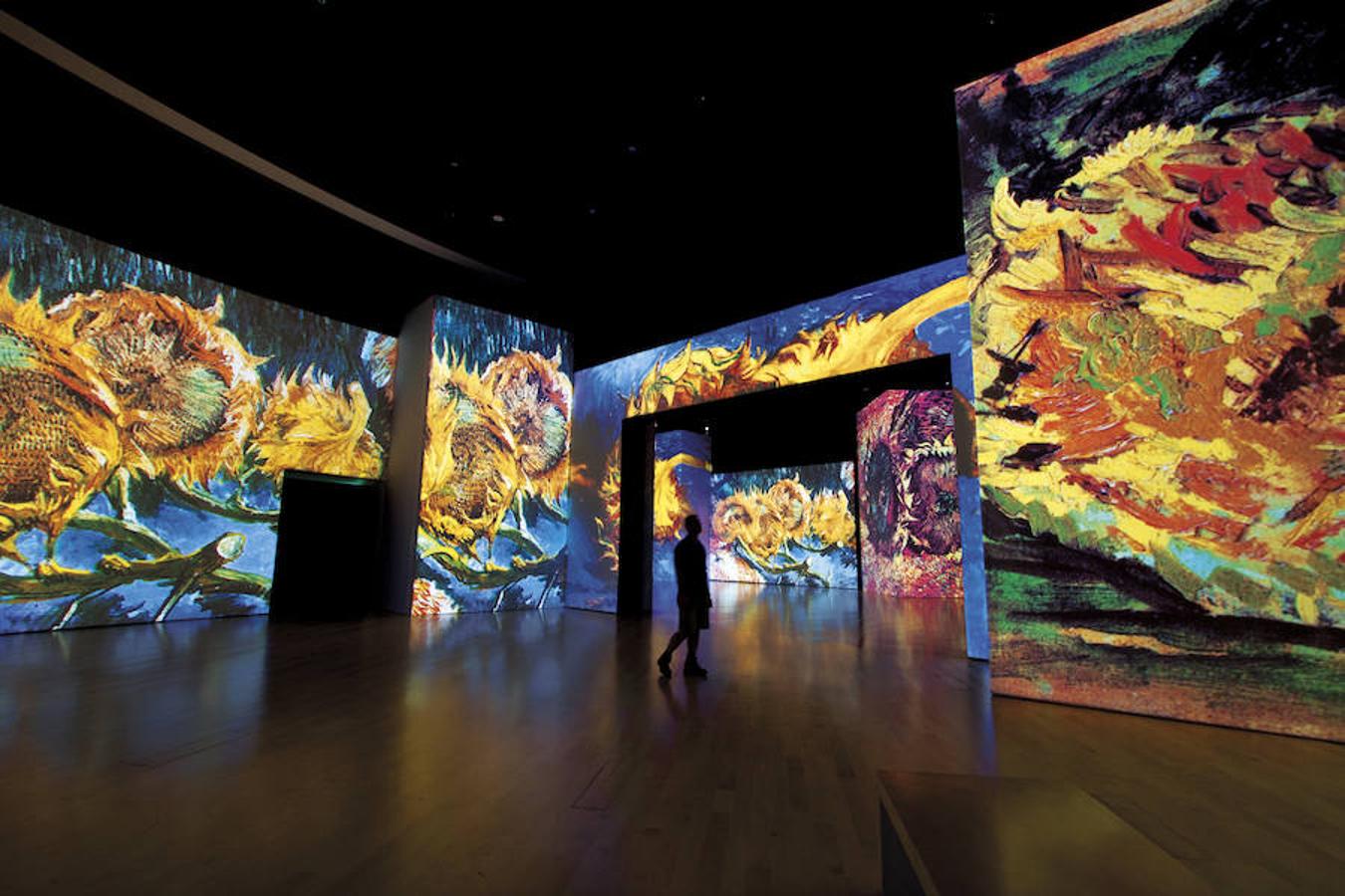 La experiencia combina 3.000 imágenes en movimiento, luz y música para sumergirse de lleno en el universo del pintor holandés.