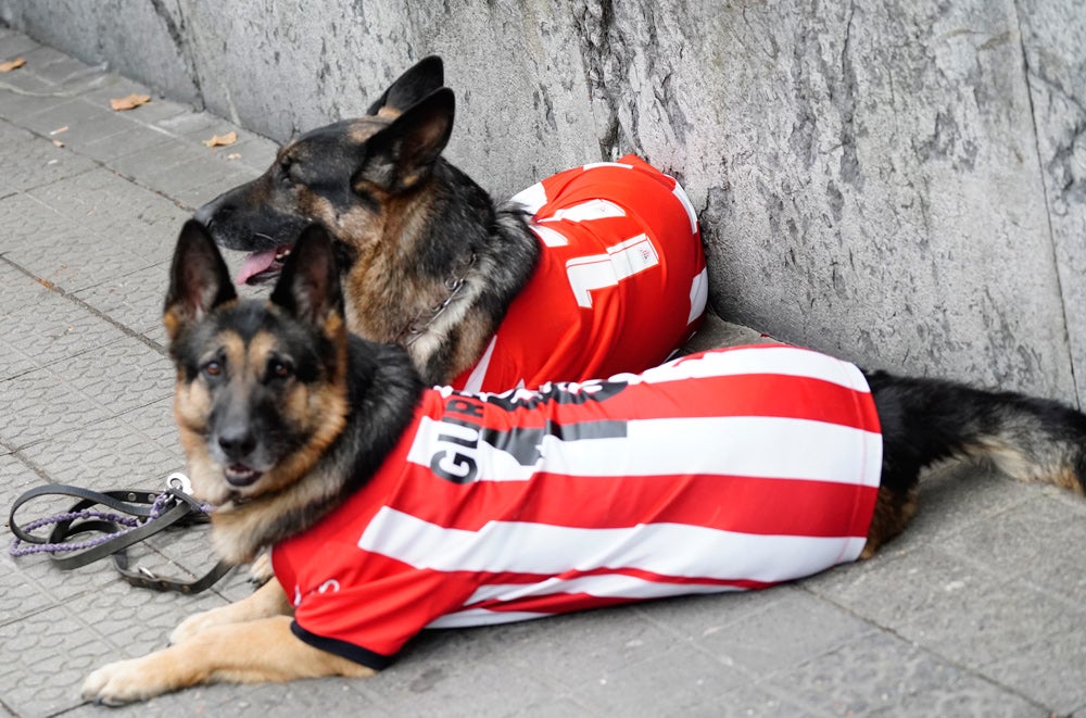 Aitor Elizegi y Alberto Uribe-Echevarría compiten por la presidencia del club rojiblanco, en las  elecciones de 2018 . / Manu Cecilio / Ignacio Pérez / Jordi Alemany / Athletic Club