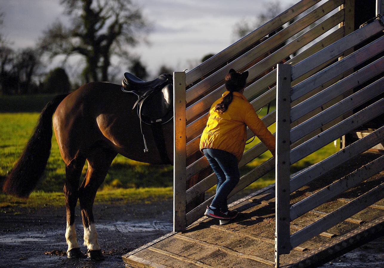 A diferencia de lo que sucede en Gran Bretaña, que mantiene la prohibición desde 2005, la caza del zorro es una actividad legal en los campos de Irlanda (en las fotografías vemos una partida en Kells, al norte de Dublín), y en las fechas navideñas esta tradición se mantiene tal como la practicaban nobles y terratenientes tiempo atrás. La elegancia es obligada tanto para caballos como para jinetes. Guarnicionería pulida, botas lustradas y sombrero y chaquetas rojas o negras, son tan habituales como las crines trenzadas.