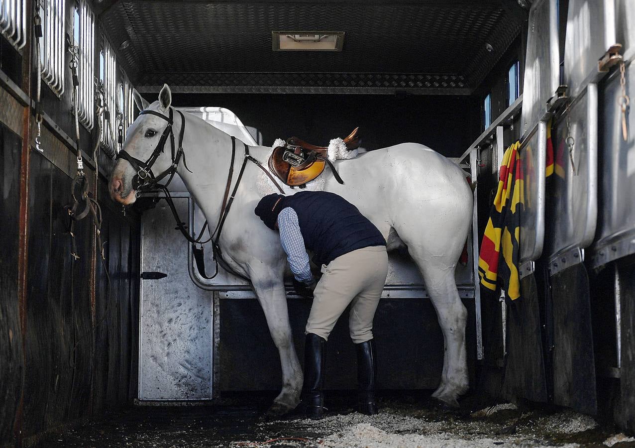 A diferencia de lo que sucede en Gran Bretaña, que mantiene la prohibición desde 2005, la caza del zorro es una actividad legal en los campos de Irlanda (en las fotografías vemos una partida en Kells, al norte de Dublín), y en las fechas navideñas esta tradición se mantiene tal como la practicaban nobles y terratenientes tiempo atrás. La elegancia es obligada tanto para caballos como para jinetes. Guarnicionería pulida, botas lustradas y sombrero y chaquetas rojas o negras, son tan habituales como las crines trenzadas.