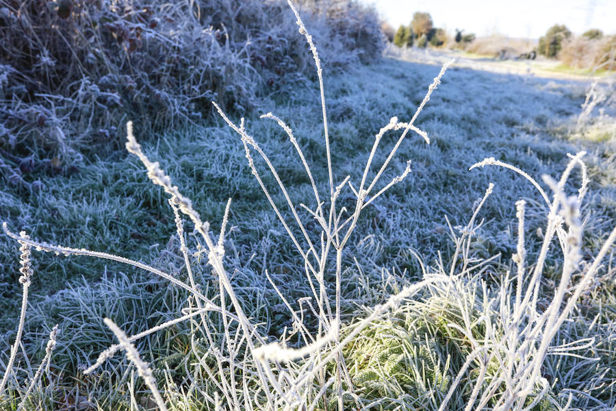 Los termómetros han marcado este viernes -8,5º en Ozaeta; -8,0º en Pagoeta y -7,2º en Abetxuko. La alerta por heladas y temperaturas mínimas se mantiene el fin de semana