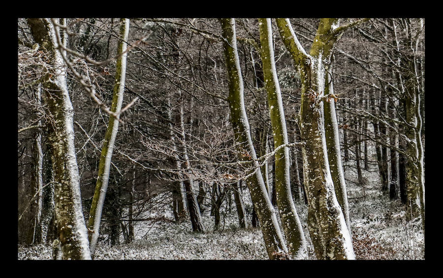 Fotos: La primera nevada del año se asoma a las cumbres de Álava