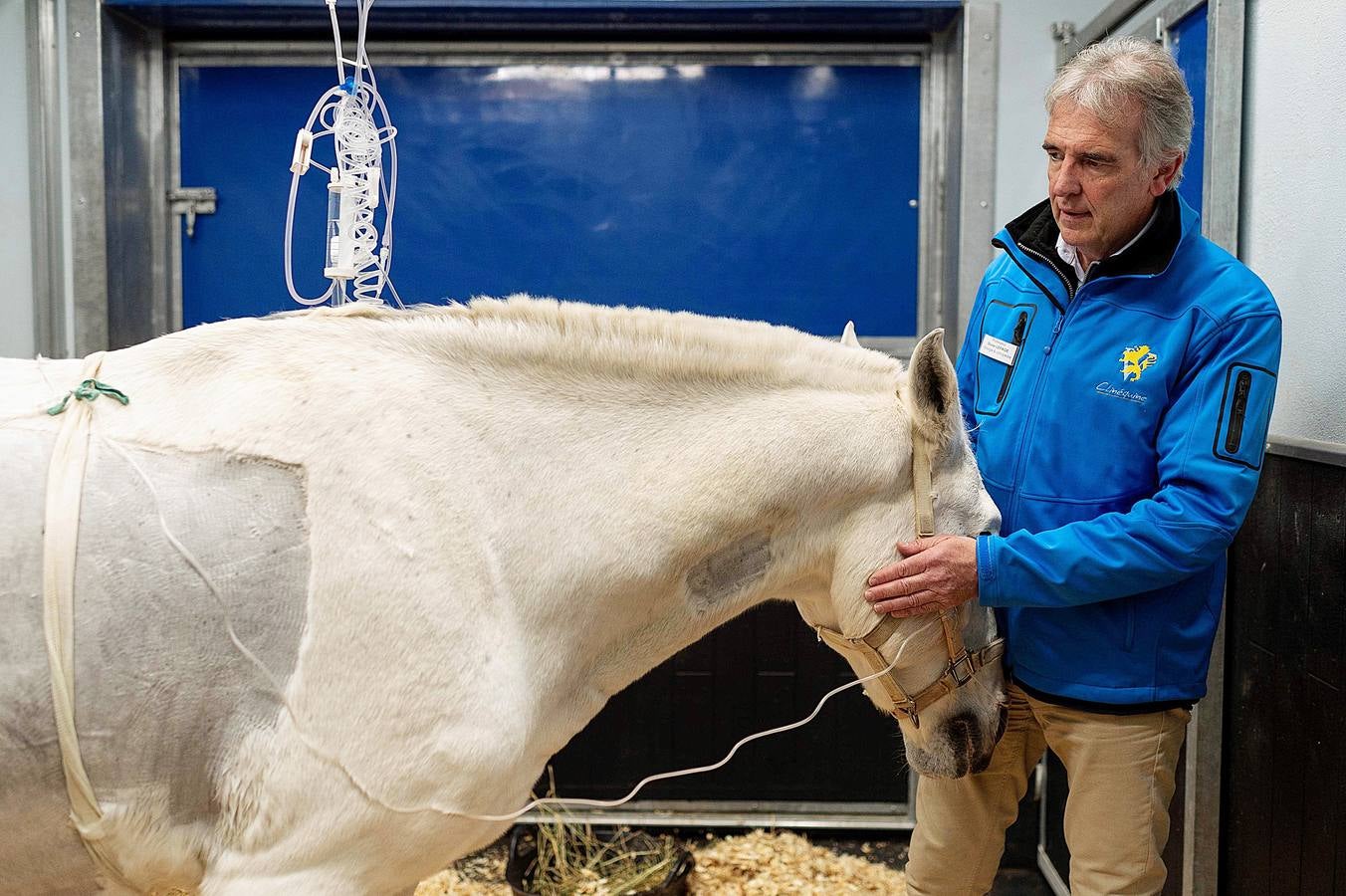 Cada año son hospitalizados unos 1.500 caballos en esta clínica creada en 1998, en Marcy-L'Etoile, cerca de Lyon. Los numerosos clientes de Clinequine, un centro-escuela veterinaria especializada en equinos, proceden de diferentes países, sobre todo de Suiza, Italia y España, y tiene pacientes muy diversos. Hay ejemplares de salto y de carreras que valen más de cuatro millones de euros, pero también atienden a burros y equinos de carga. Este año incluso han recibido un oso del zoo de Lyon. 