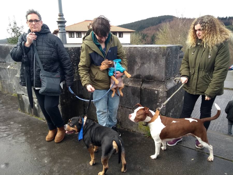 A pesar del frío, han sido muchos los que se han acercado este 17 de enero al alto de Urkiola, en busca de la bendición del patrón de los animales