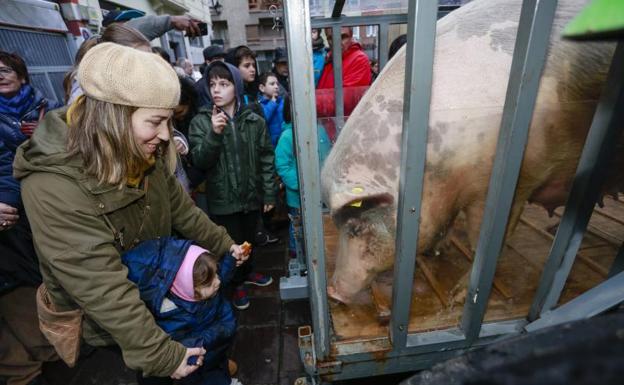 Bendición del cerdo de San Antón.