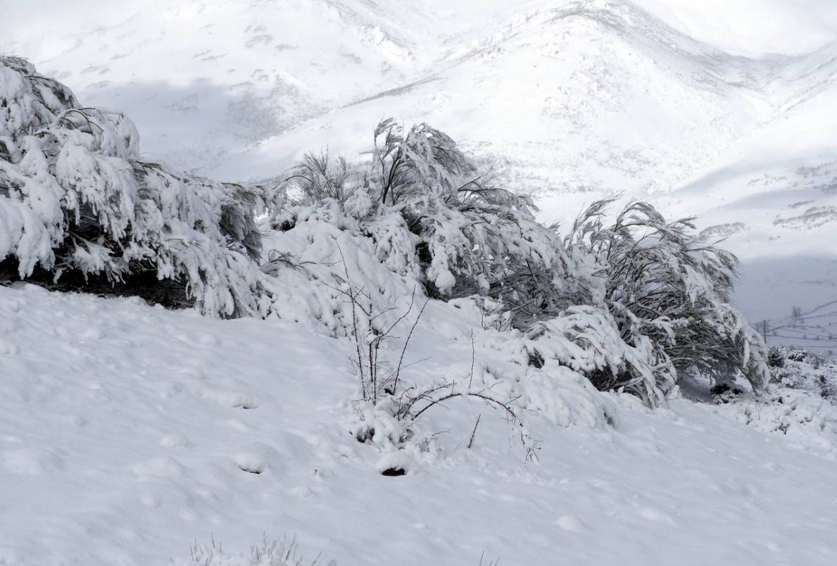 Paisajes nevados en Alto Campoo.