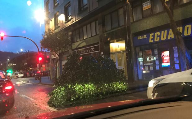 Un árbol permanece caído en Hurtado de Amézaga. 