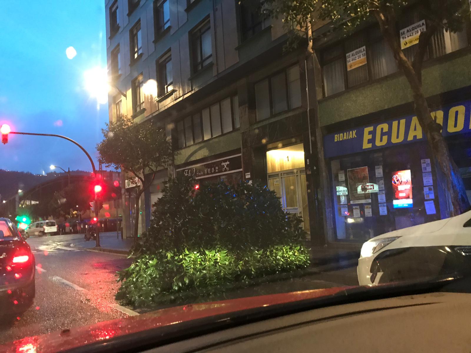 Un árbol caído por las fuertes rachas de viento en la calle Hurtado Amézaga de Bilbao.