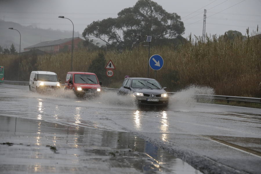 Balsas de agua en Erandio.