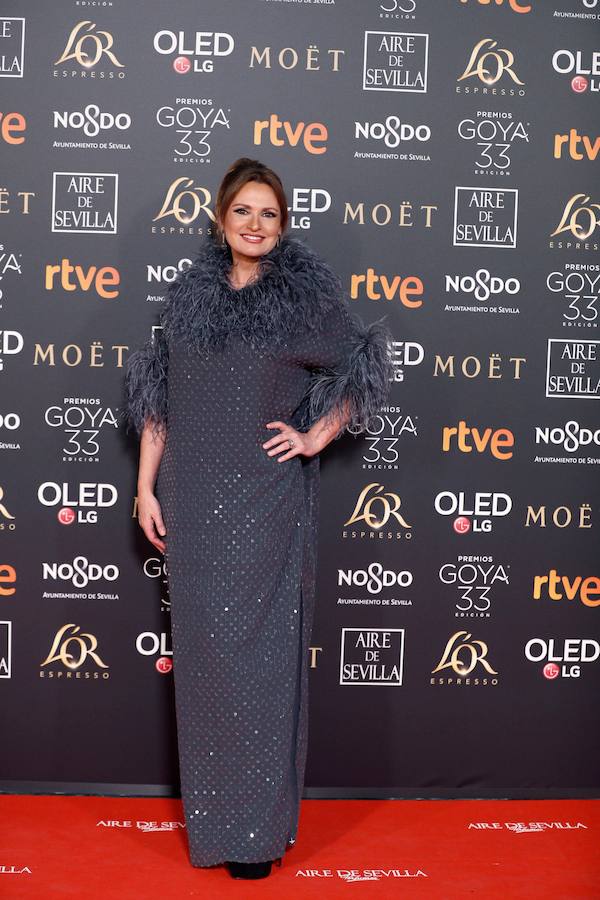 Los mejores vestidos de la alfombra roja en la  Gala de entrega de los Premios Goya 2019 .