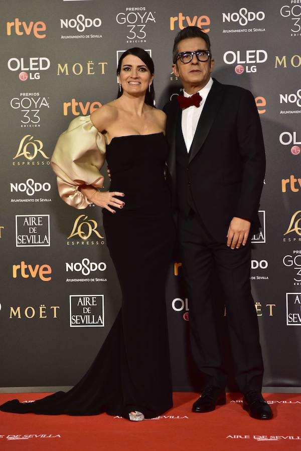 Los mejores vestidos de la alfombra roja en la  Gala de entrega de los Premios Goya 2019 .