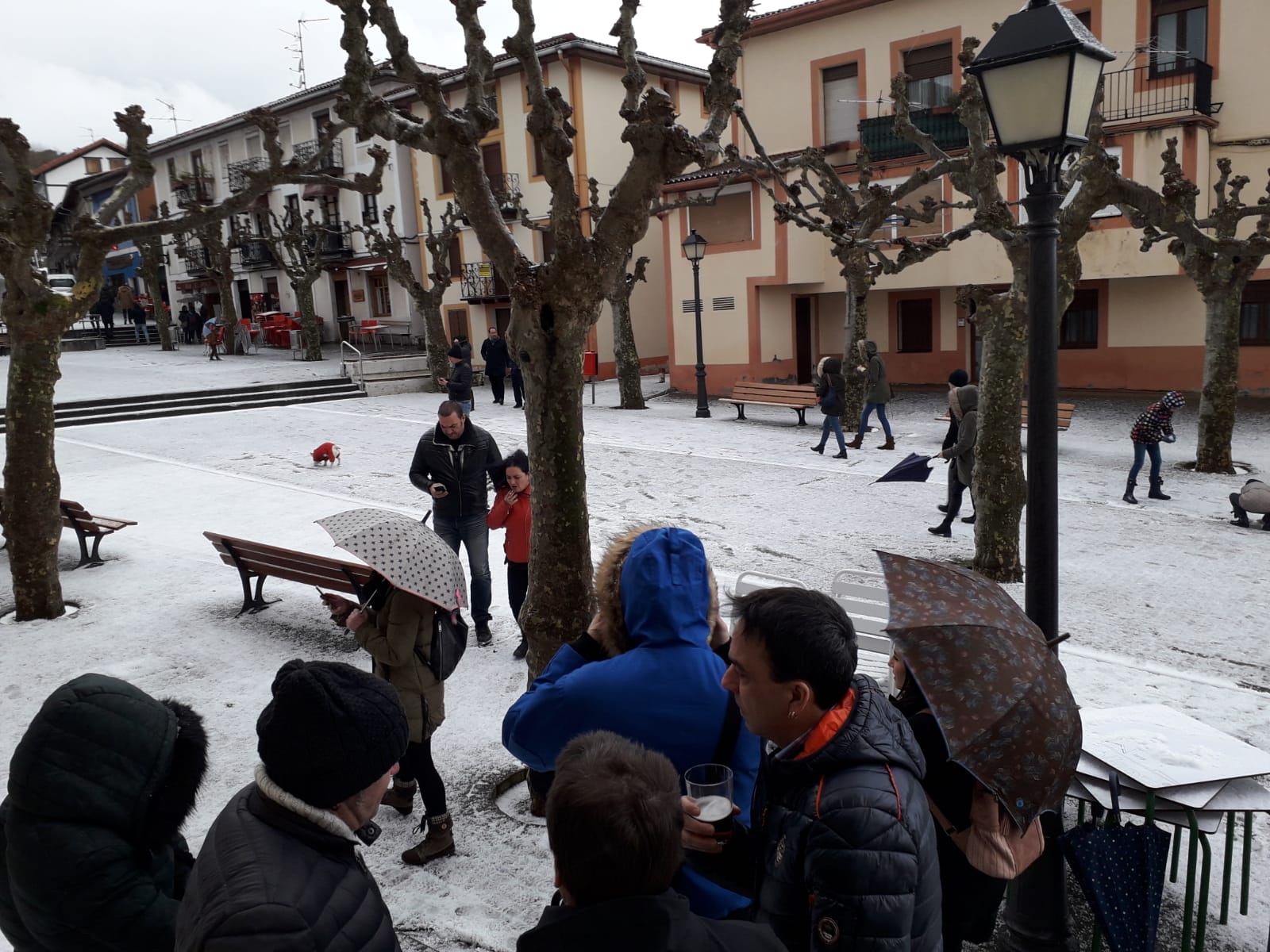 Nieve en La Arboleda. 