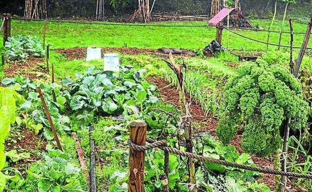 Los huertos urbanos ganan terreno en Bizkaia. 