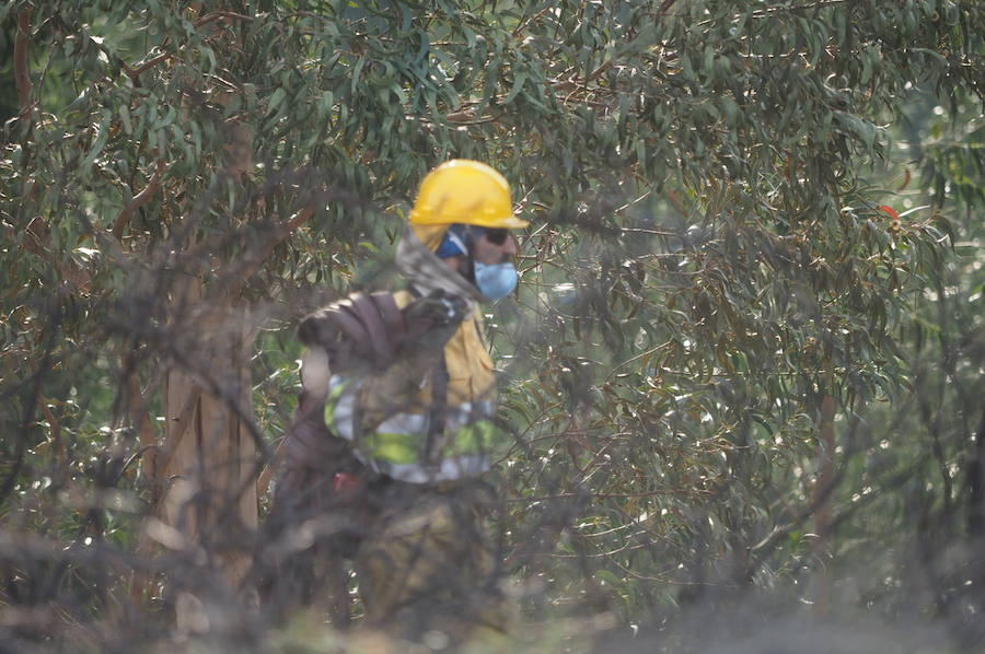 Fotos: El fuego abrasa Cantabria