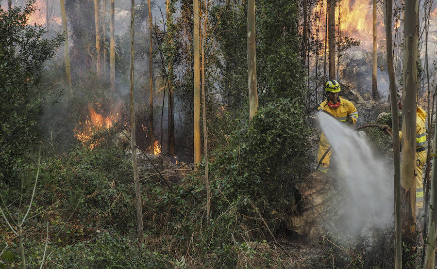 Fotos: El fuego abrasa Cantabria