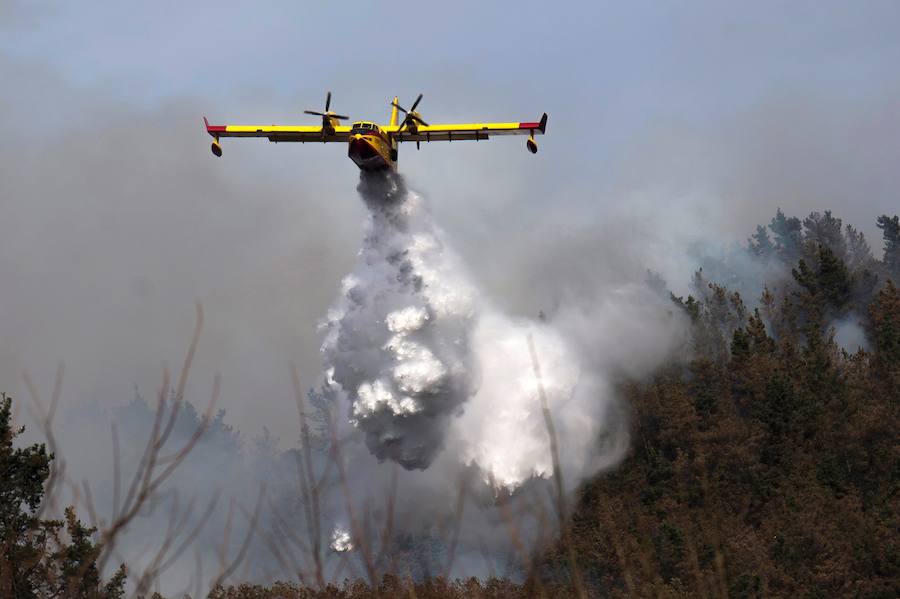 Fotos: El fuego abrasa Cantabria