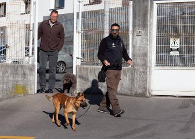 Imagen secundaria 1 - Parientes y amigos de Javier Ardines el pasado 16 de agosto, tras conocerse que el concejal había fallecido junto a la casa familiar. Abajo, los perros empleados en la investigación policial y un momento del registro. 