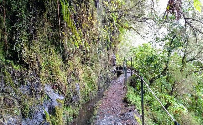El camino para llegar al Caldeira Verde tiene una longitud de 6,5 kilómetros