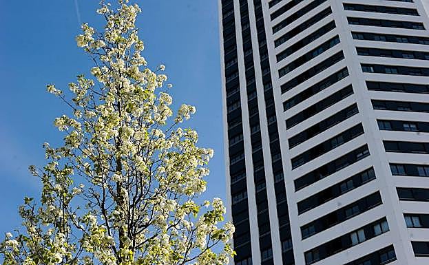 Vista de las Torres de Garellano.