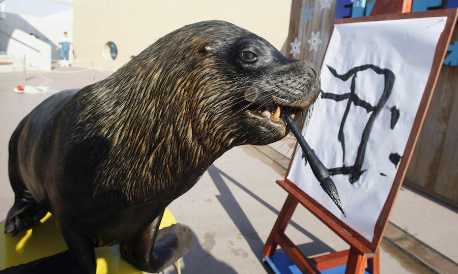 Jakie es un león marino que dibuja caracteres chinos en el aquario de Yokohama en Tokio.