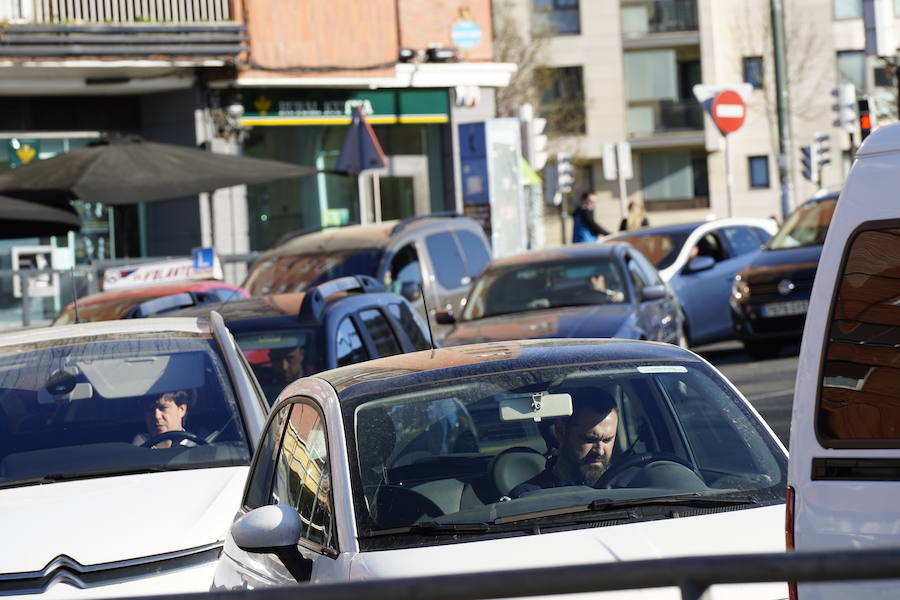 Fotos: Buen tiempo y polen en el veranillo de febrero