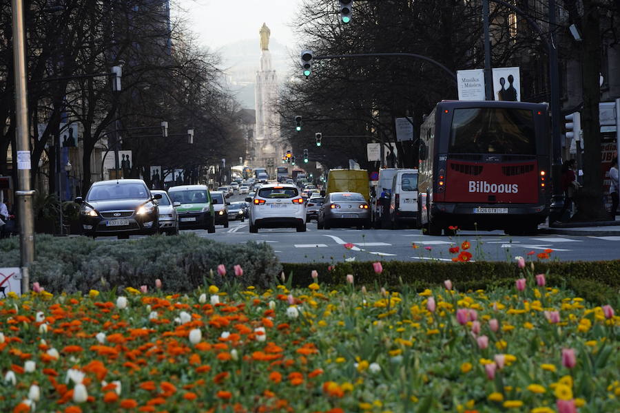Fotos: Buen tiempo y polen en el veranillo de febrero