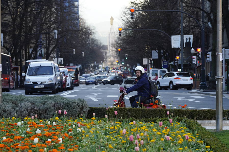 Fotos: Buen tiempo y polen en el veranillo de febrero