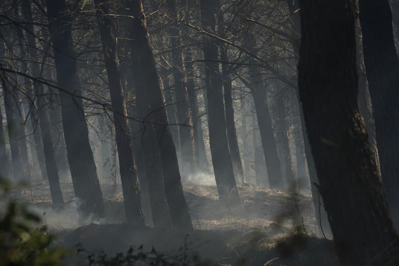 El viento sur y el calor ha favorecido la expansión de las llamas
