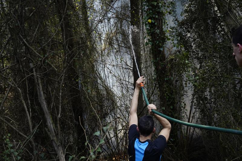 El viento sur y el calor ha favorecido la expansión de las llamas