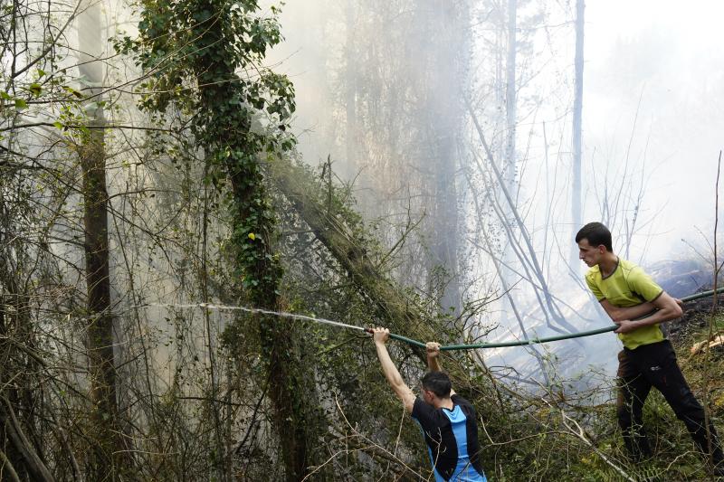 El viento sur y el calor ha favorecido la expansión de las llamas