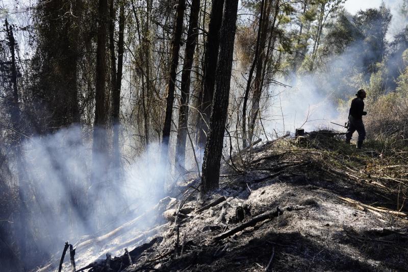 El viento sur y el calor ha favorecido la expansión de las llamas