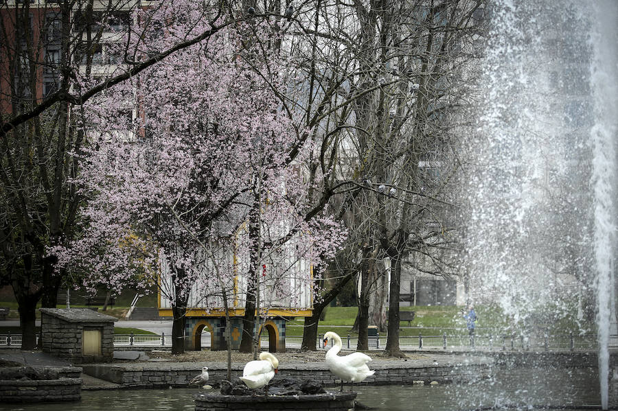 Los viandantes han disfrutado de bellas imágenes en el parque de Doña Casilda. 