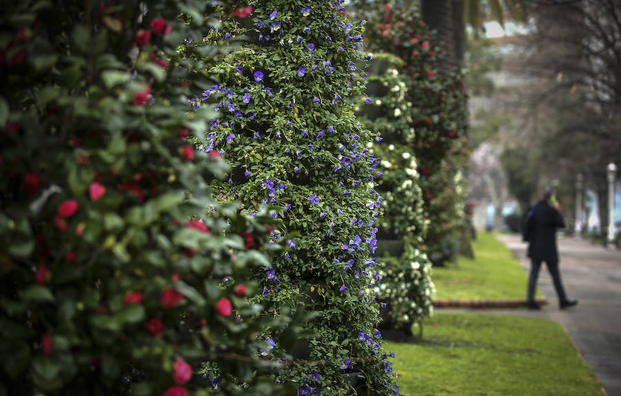 Otra bella estampa primaveral en Bilbao. 
