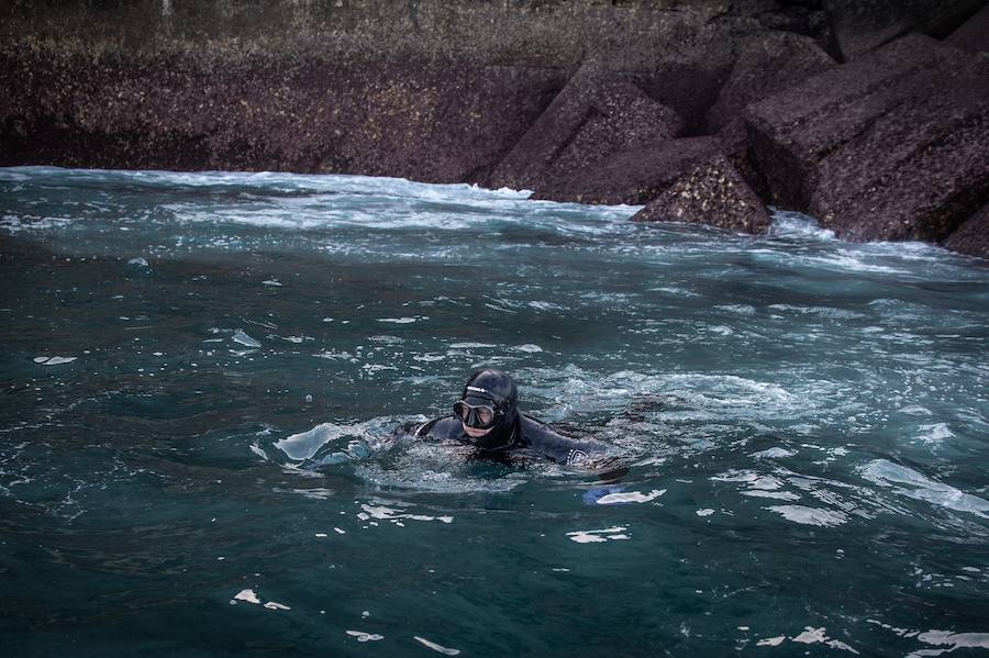 Frías nada de regreso de las rocas.