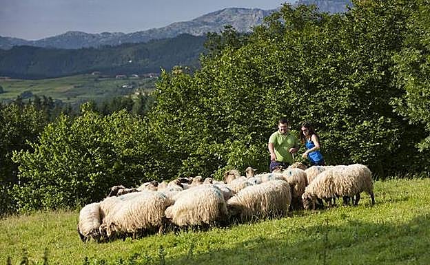 La riqueza del entorno del Gorbeia es indudable. 