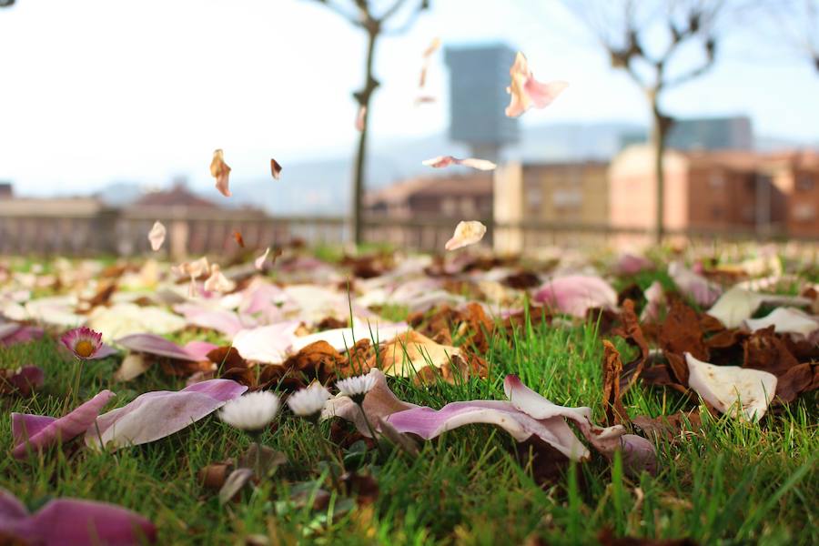 Finalista categoría 'Barakaldo, un entorno natural'. 'LOS CIMIENTOS'. Autor: Adrián Alonso Montero