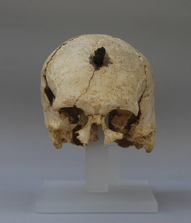 Vista frontal del cráneo clavado MAC ULL-03613 procedente del Puig de Sant Andreu (Ullastret). 
