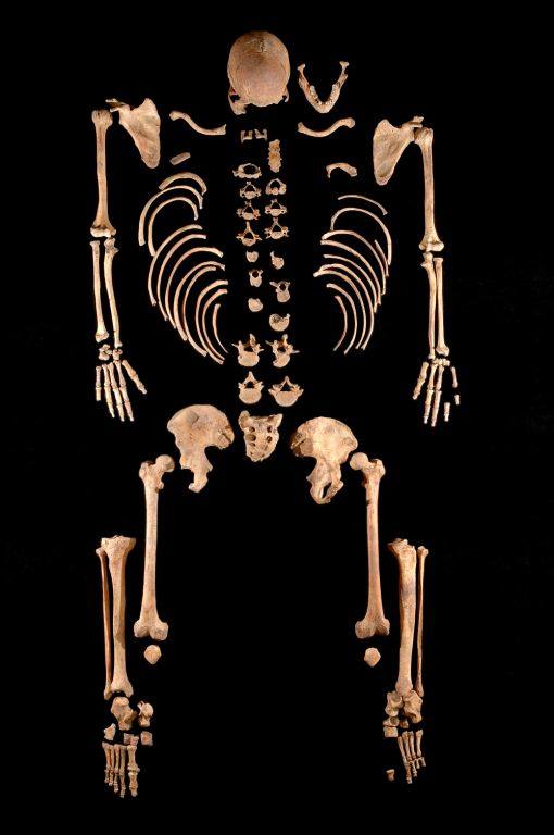 1. Esqueleto de uno de los hermanos de La Braña. Son los hermanos más antiguos detectados genéticamente.