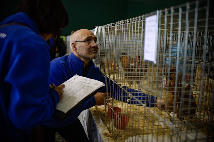 Concurso de perros, agricultura ecológica y talos en la tradicional cita de la localidad de la Margen Izquierda