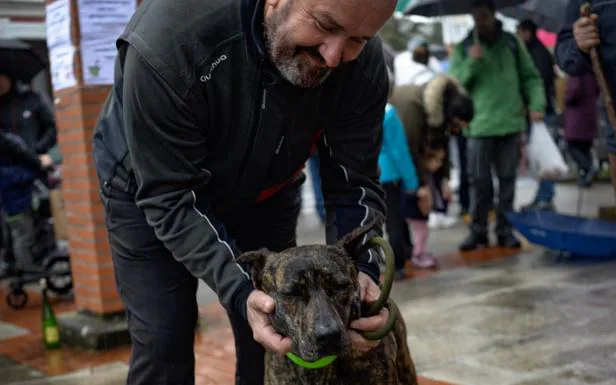 Noa, con su dueño tras ganar el concurso de canino de Güeñes. 